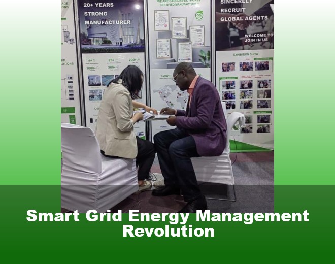 Smart Grid Energy Management Revolution